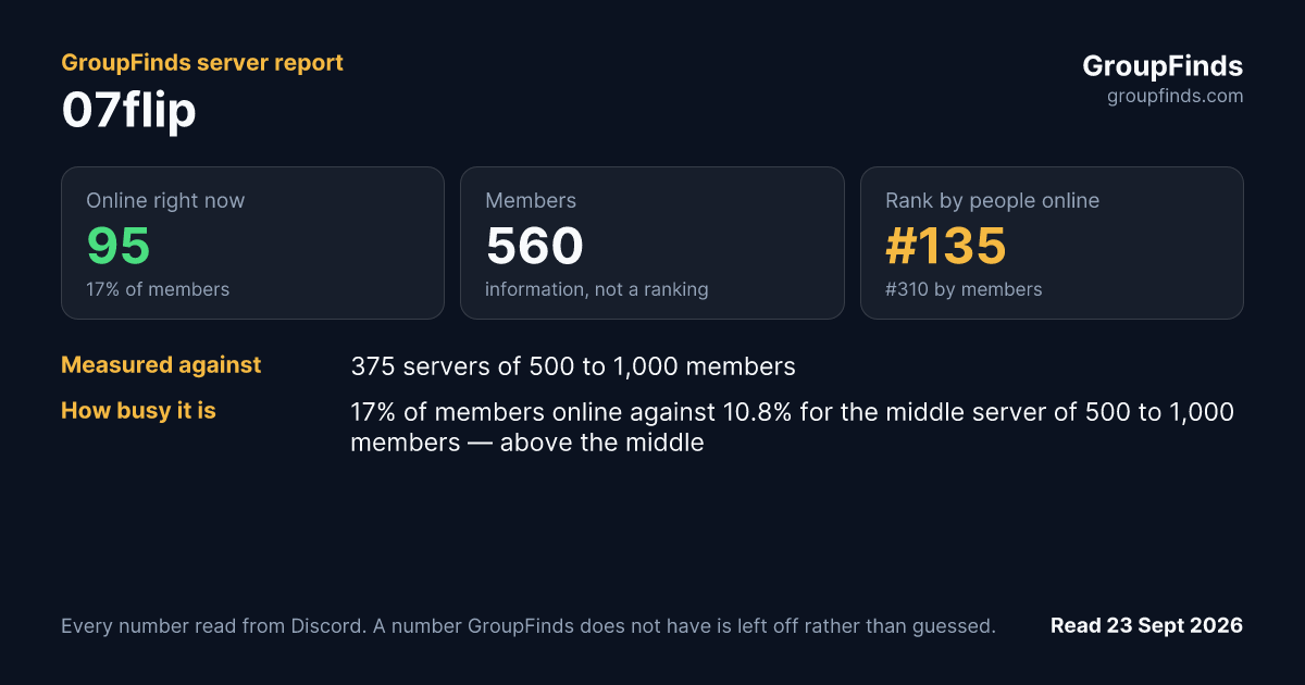 07flip's GroupFinds server report