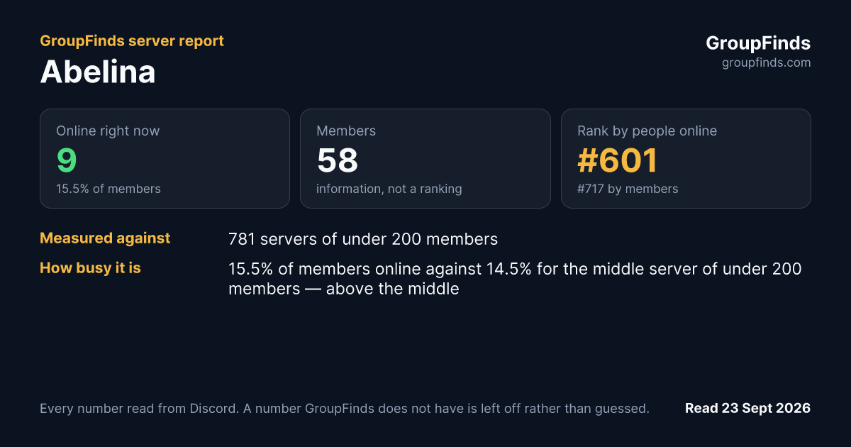 Abelina's GroupFinds server report