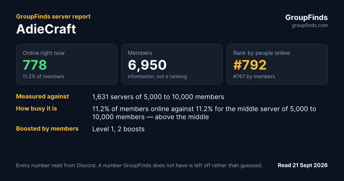 AdieCraft's GroupFinds server report