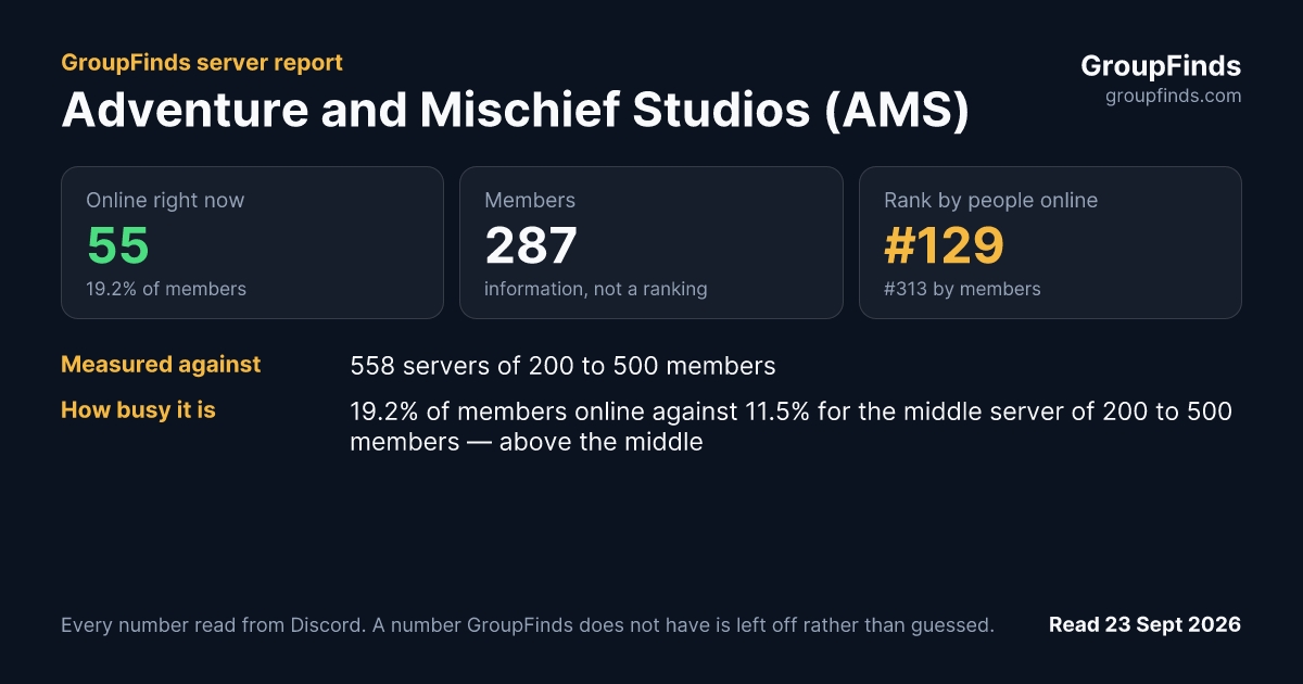 Adventure and Mischief Studios (AMS)'s GroupFinds server report