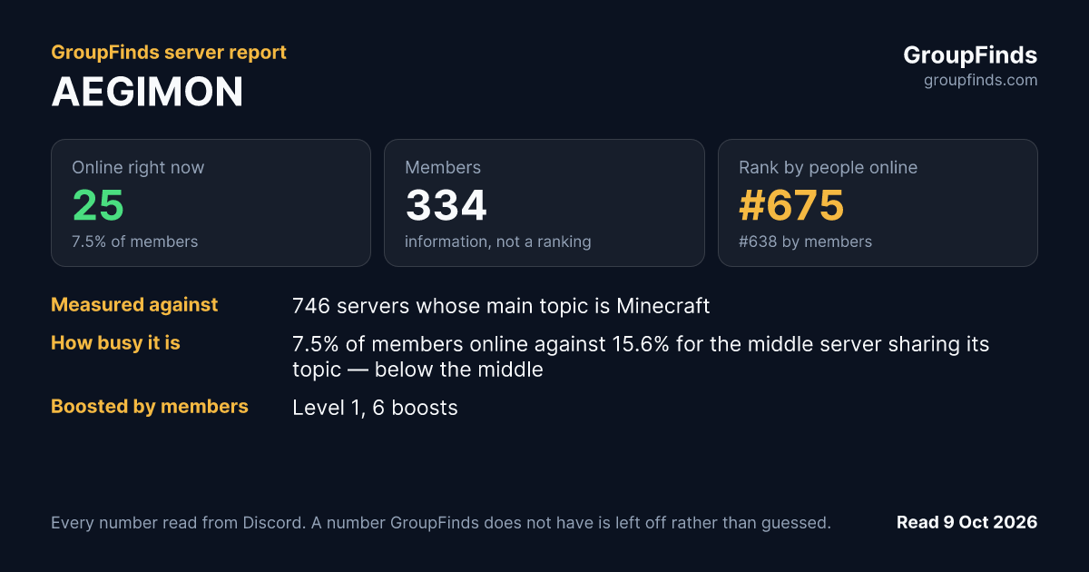 AEGIMON's GroupFinds server report