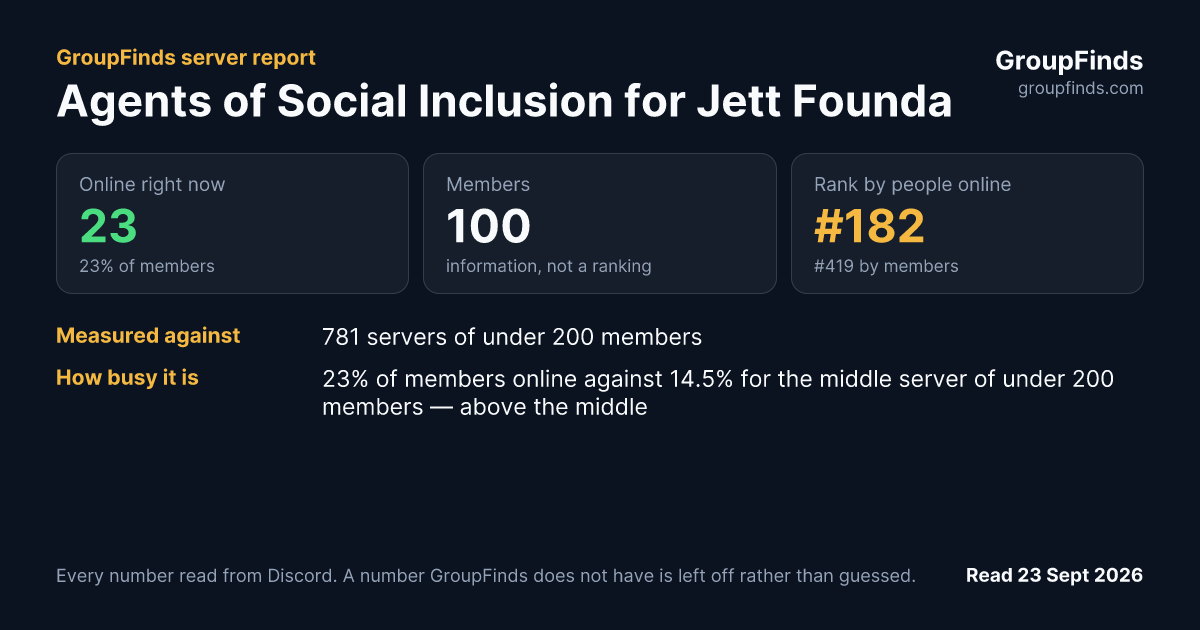 Agents of Social Inclusion for Jett Foundation's GroupFinds server report