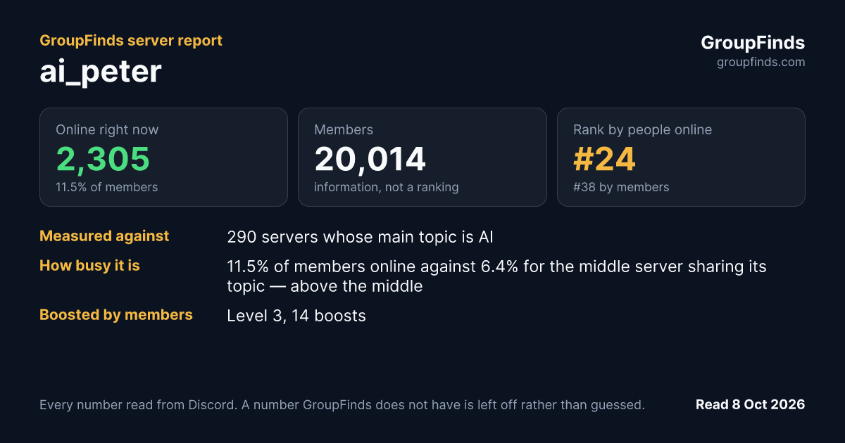 ai peter's GroupFinds server report
