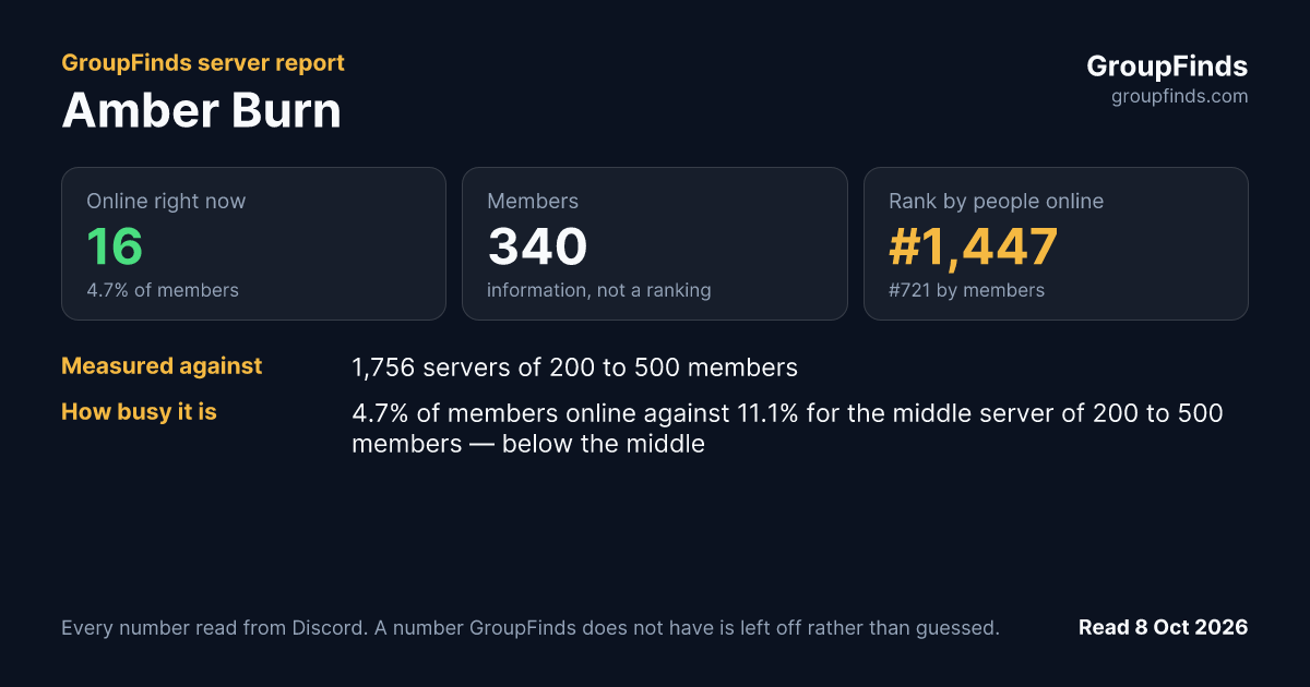 Amber Burn's GroupFinds server report