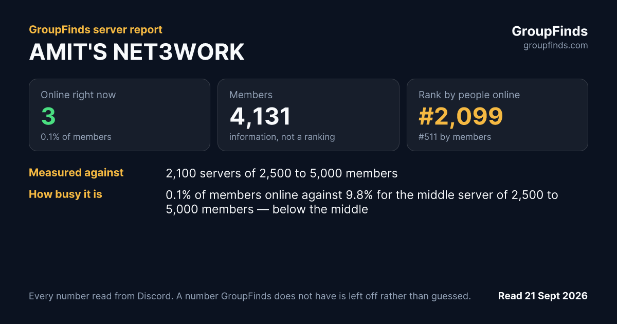 AMIT'S NET3WORK's GroupFinds server report