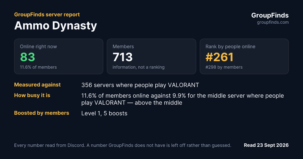 Ammo Dynasty's GroupFinds server report