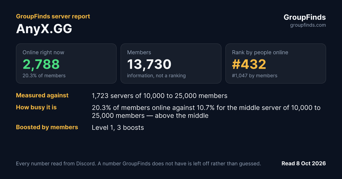 AnyX.GG's GroupFinds server report