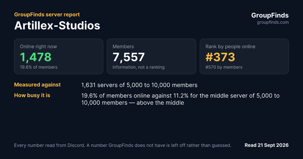 Artillex-Studios's GroupFinds server report