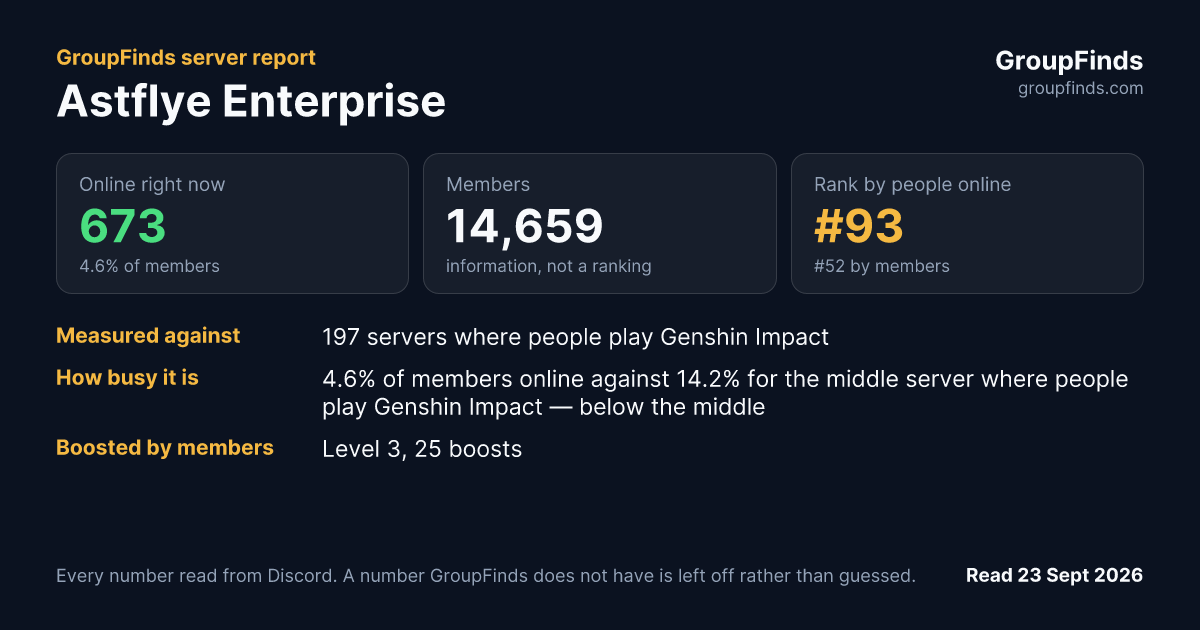 Astflye Enterprise's GroupFinds server report
