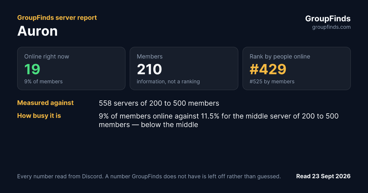 Auron's GroupFinds server report
