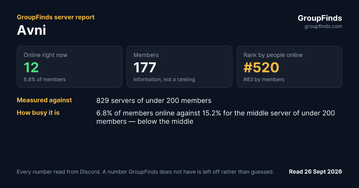 Avni's GroupFinds server report