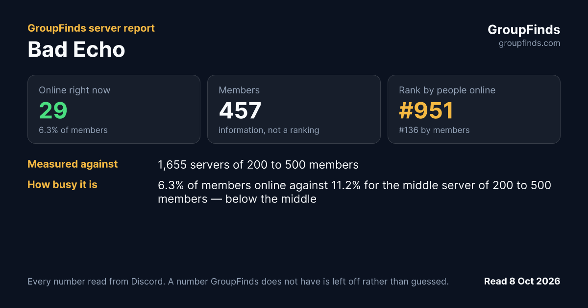 Bad Echo's GroupFinds server report