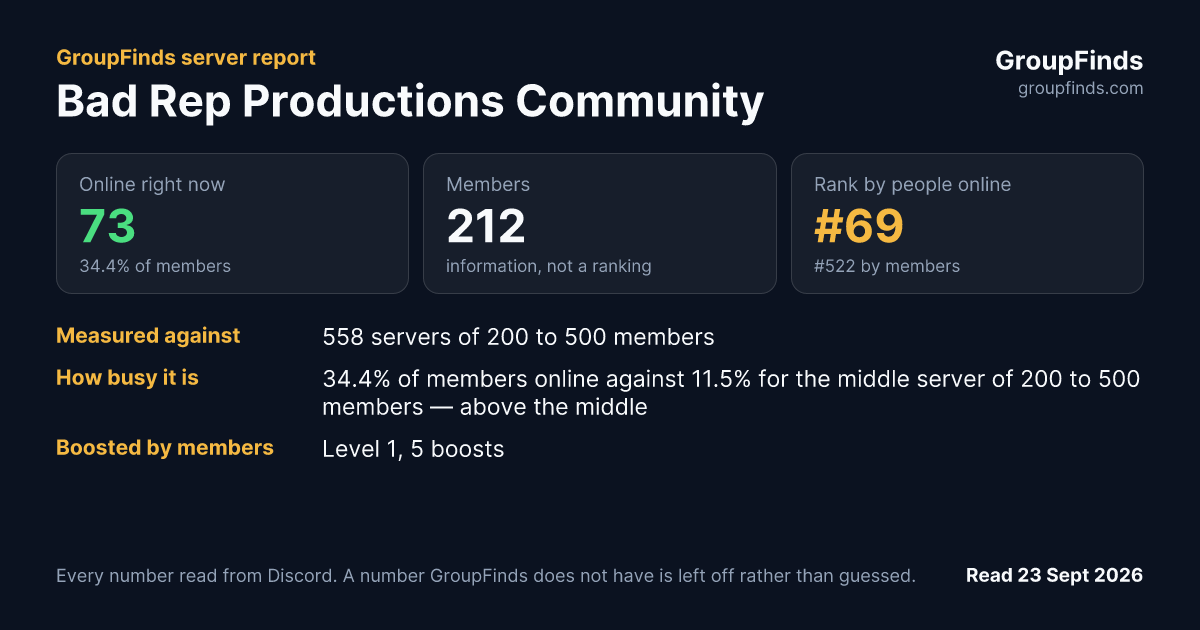 Bad Rep Productions Community's GroupFinds server report