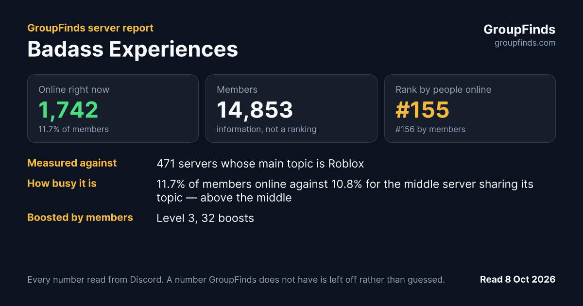 Badass Experiences's GroupFinds server report