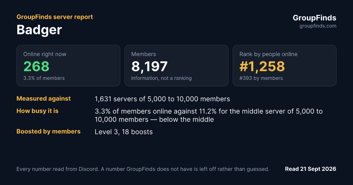 Badger's GroupFinds server report