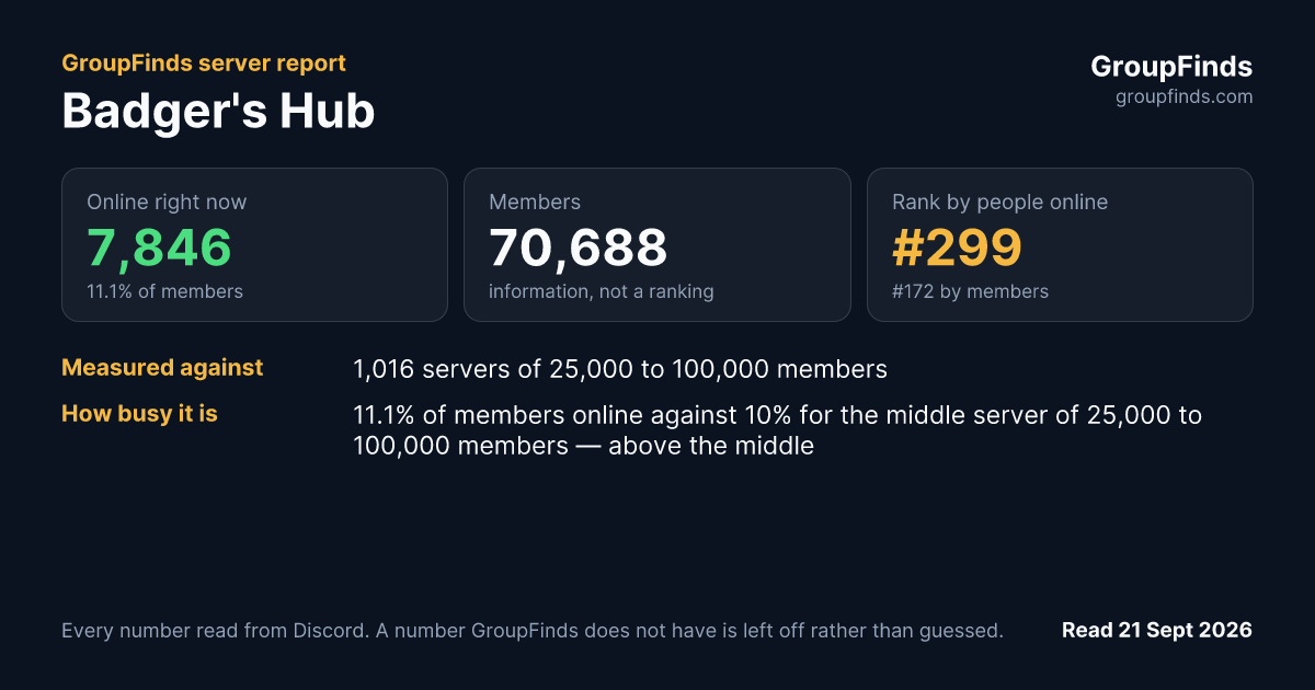 Badger's Hub's GroupFinds server report