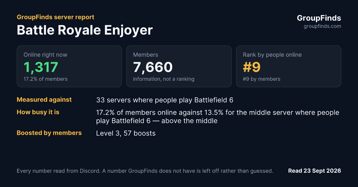 Battle Royale Enjoyer's GroupFinds server report