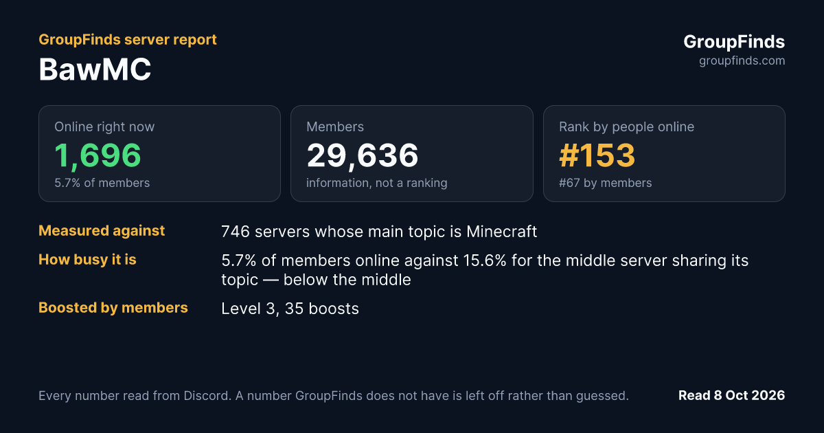 BawMC's GroupFinds server report