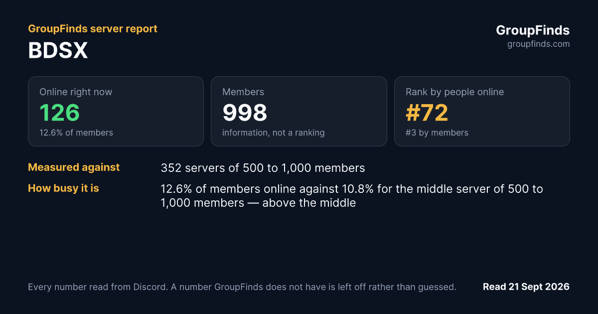BDSX's GroupFinds server report