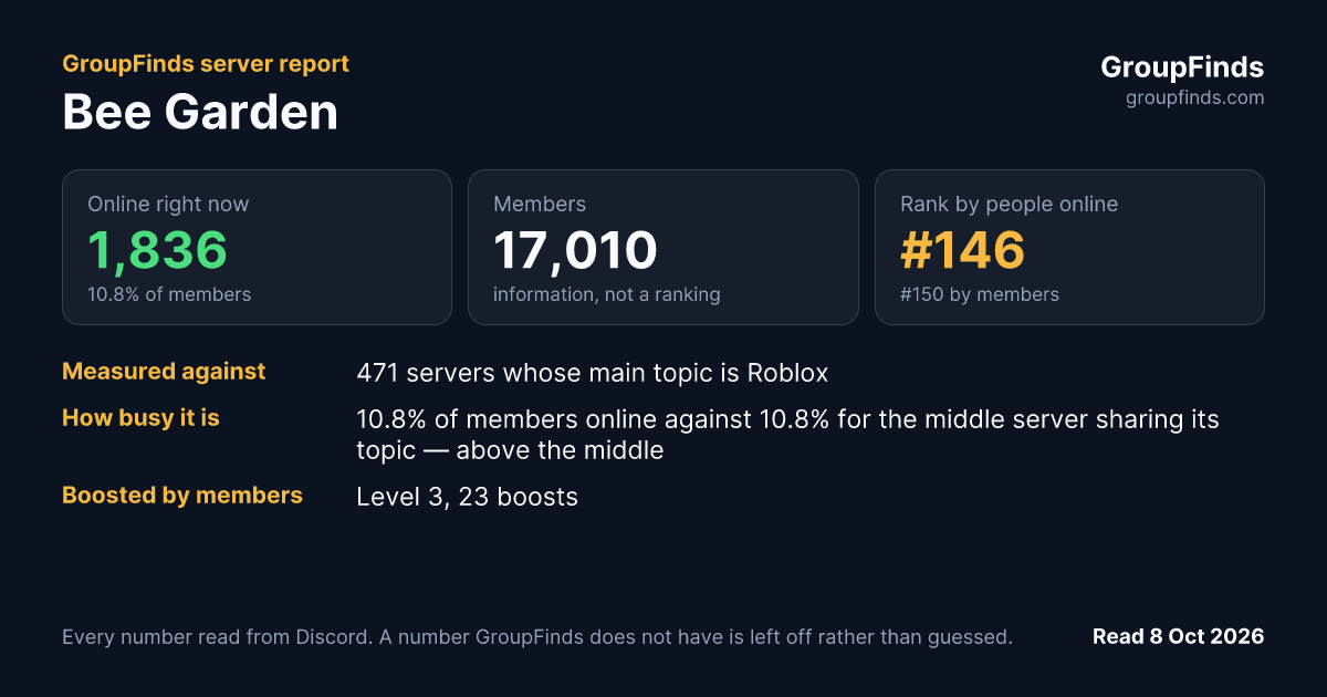 Bee Garden's GroupFinds server report