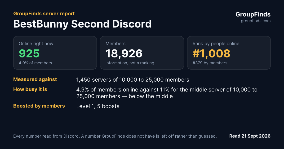 BestBunny Second Discord's GroupFinds server report