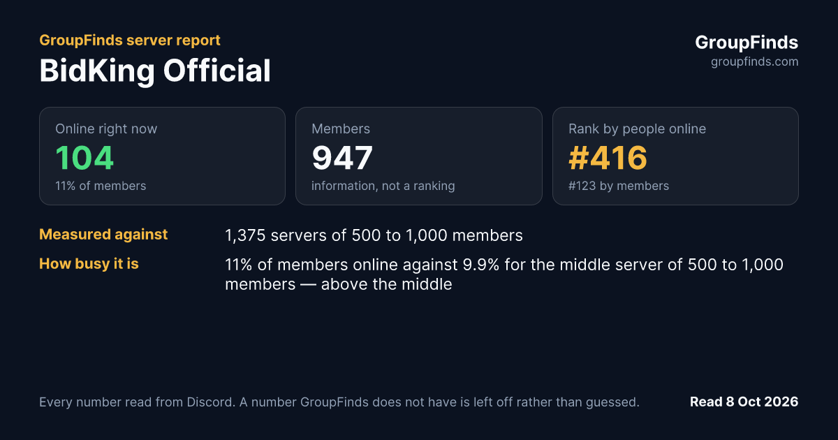 BidKing Official's GroupFinds server report