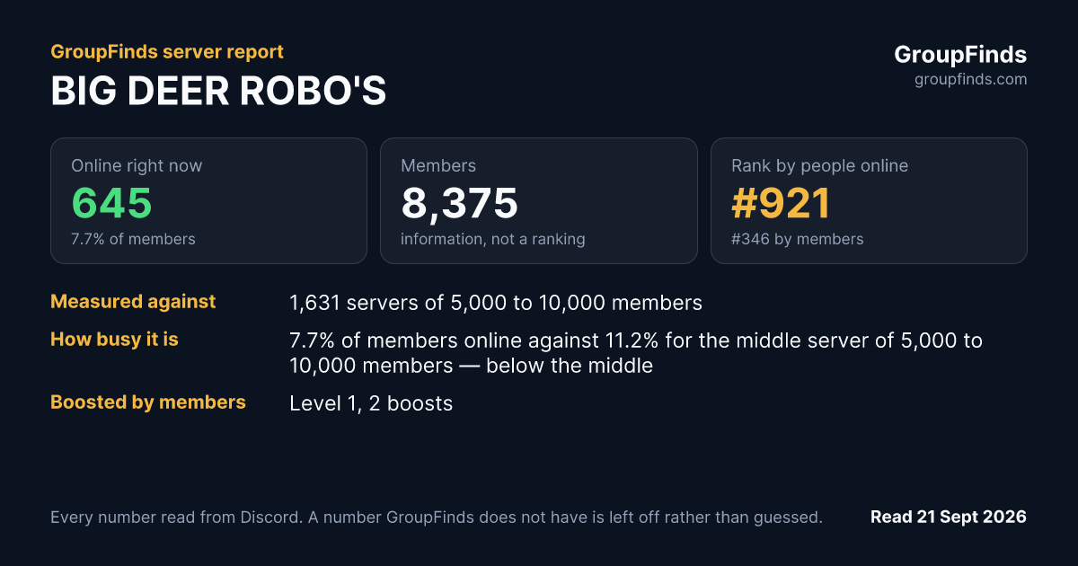 BIG DEER ROBO'S's GroupFinds server report