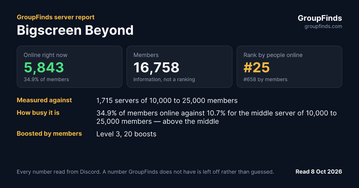 Bigscreen Beyond's GroupFinds server report