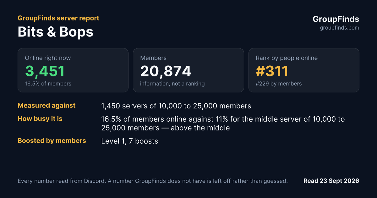 Bits & Bops's GroupFinds server report