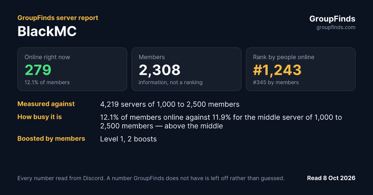 BlackMC's GroupFinds server report