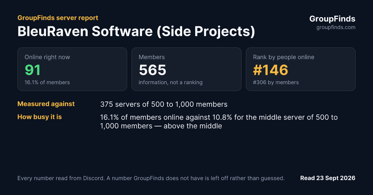 BleuRaven Software (Side Projects)'s GroupFinds server report