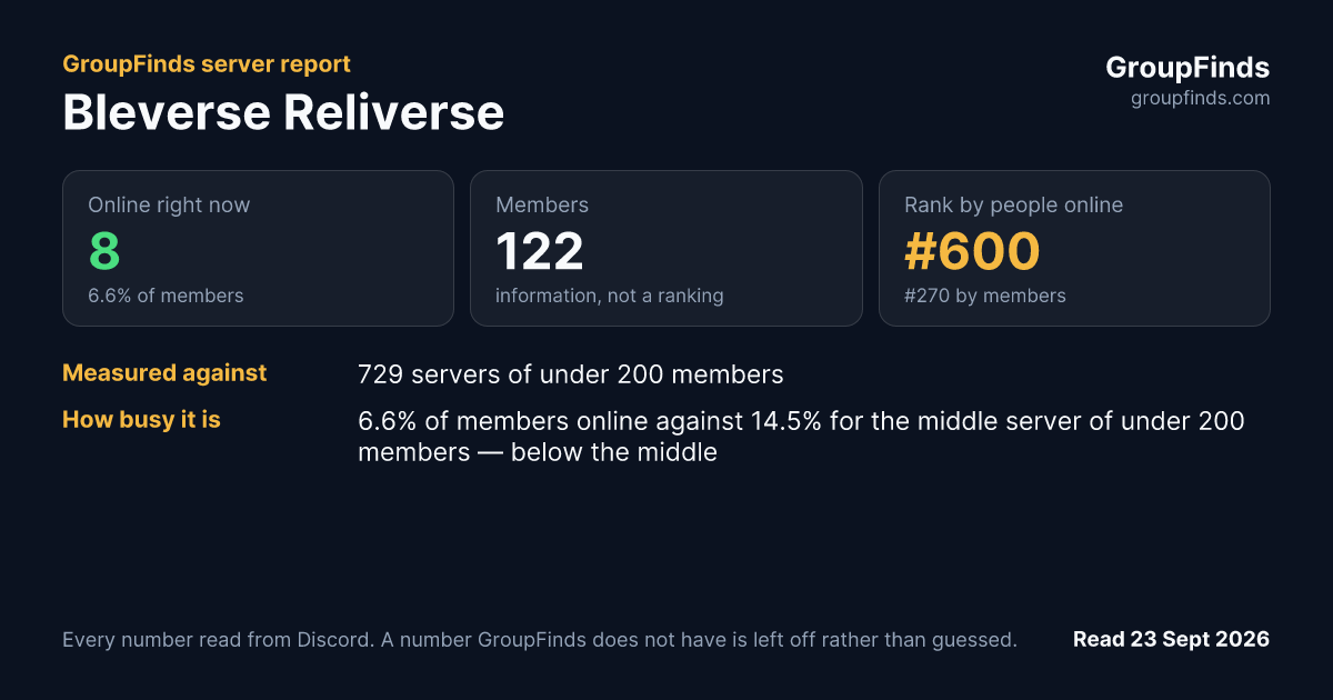 Bleverse Reliverse's GroupFinds server report