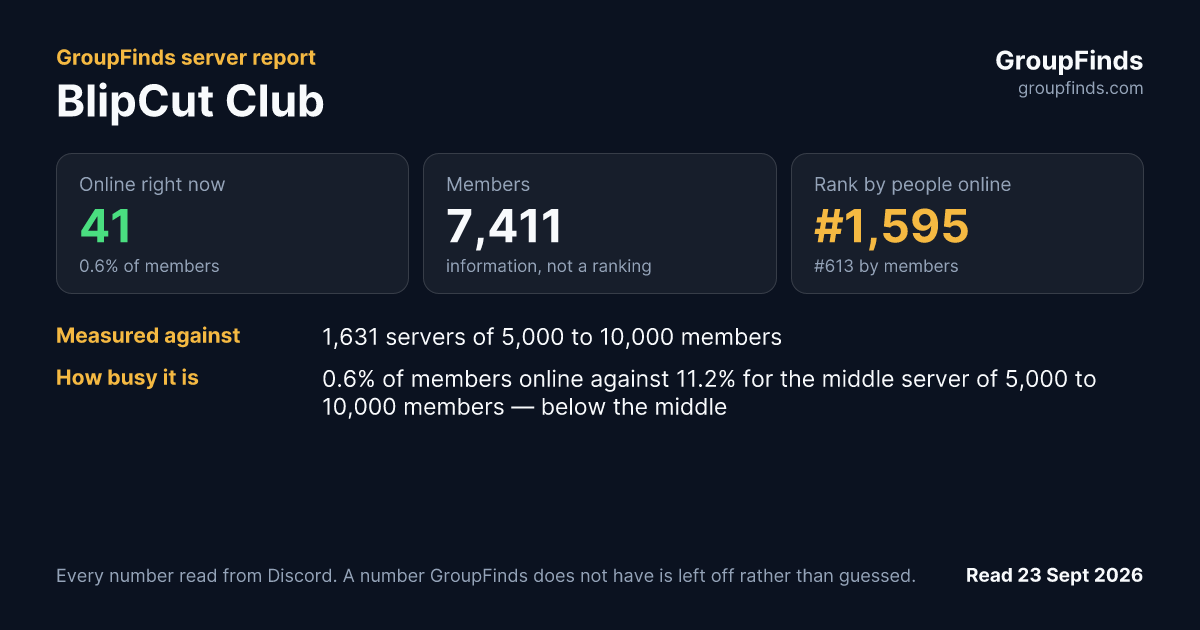BlipCut Club's GroupFinds server report