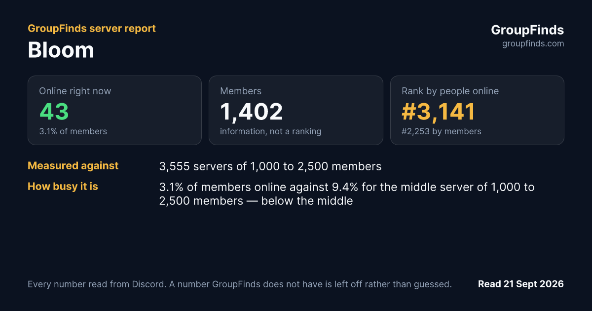 Bloom's GroupFinds server report