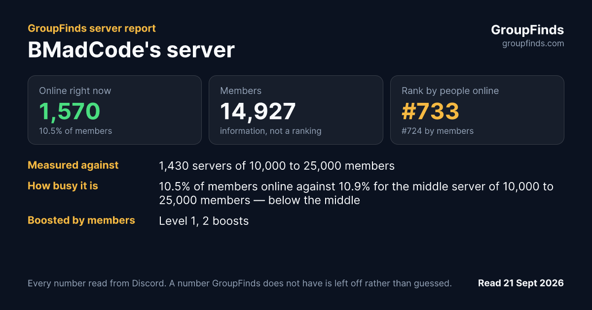 BMadCode's server's GroupFinds server report