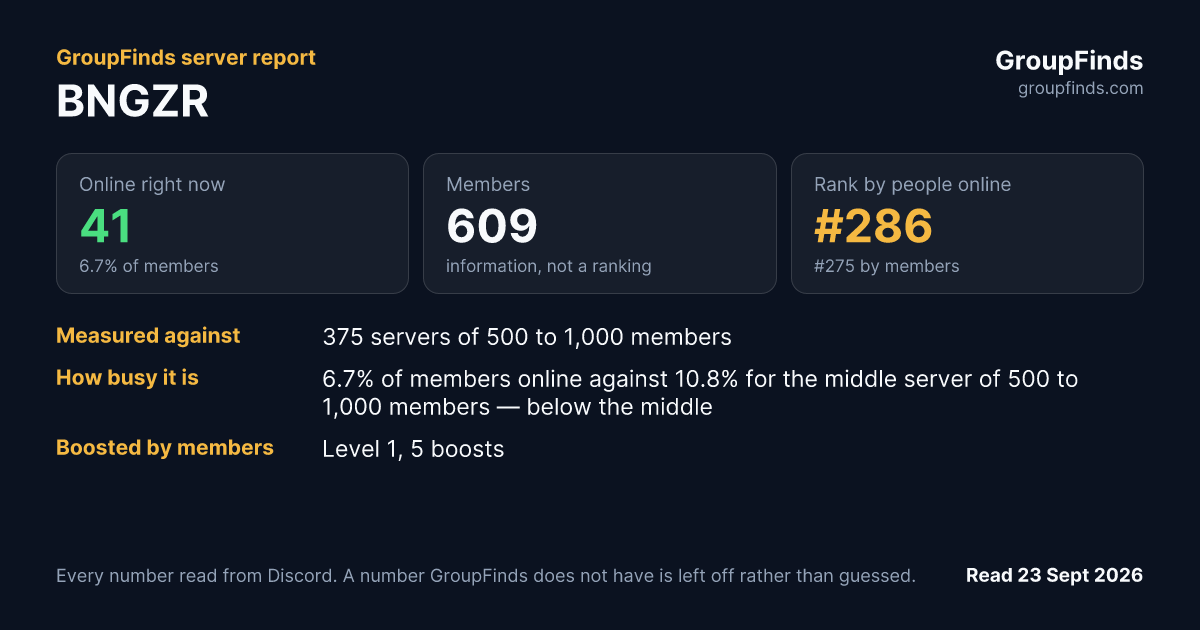 BNGZR's GroupFinds server report