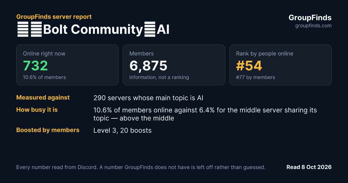 ⚡・Bolt Community・AI's GroupFinds server report