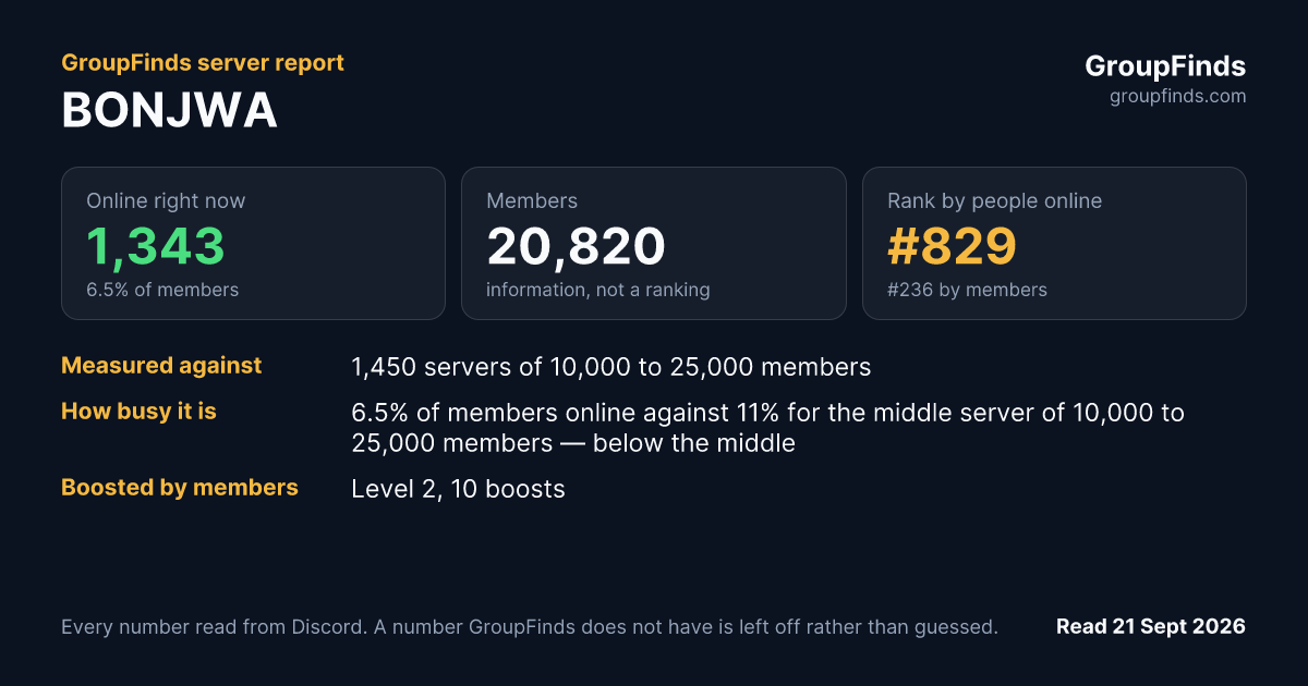 BONJWA's GroupFinds server report