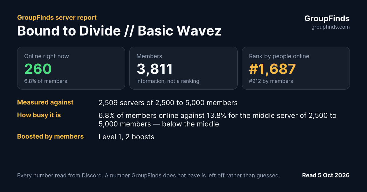 Bound to Divide // Basic Wavez's GroupFinds server report