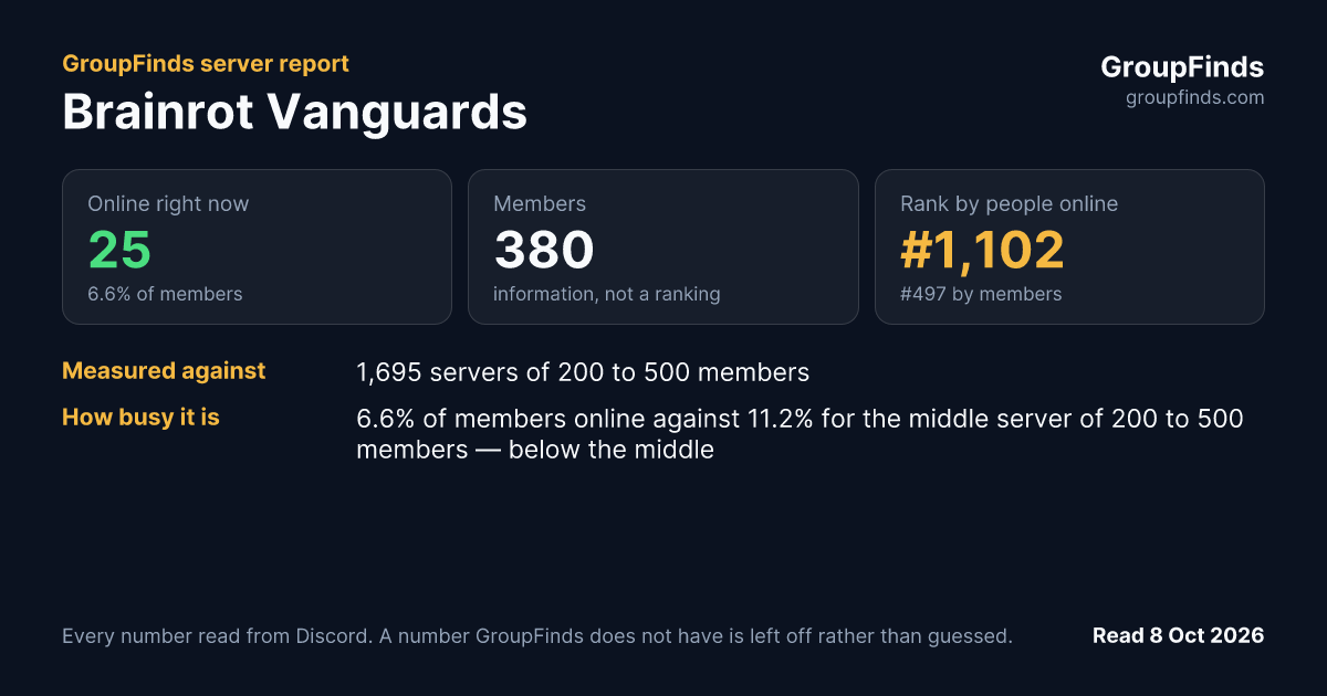 Brainrot Vanguards's GroupFinds server report