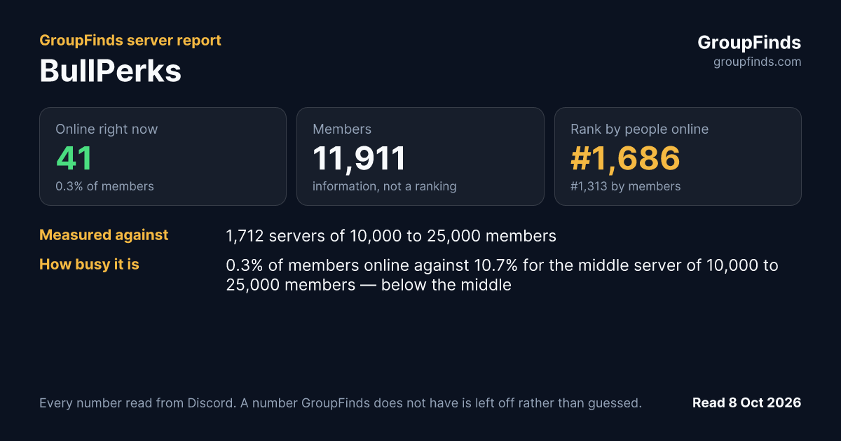 BullPerks's GroupFinds server report