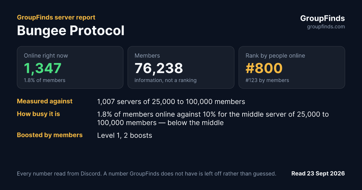 Bungee Protocol's GroupFinds server report