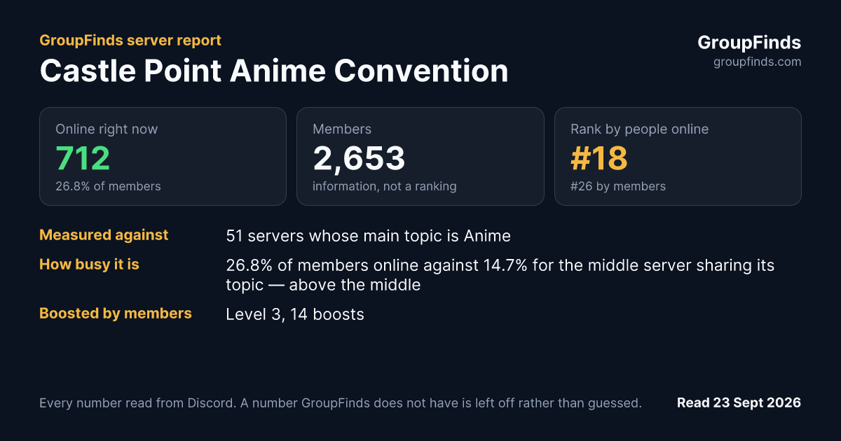 Castle Point Anime Convention's GroupFinds server report
