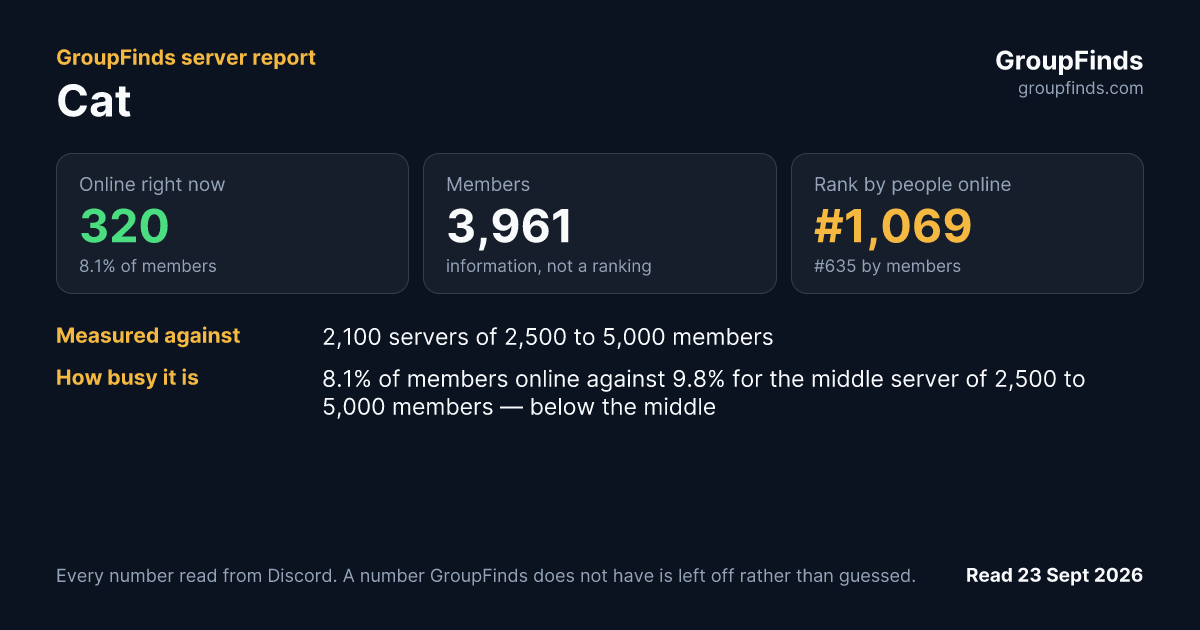 Cat's GroupFinds server report