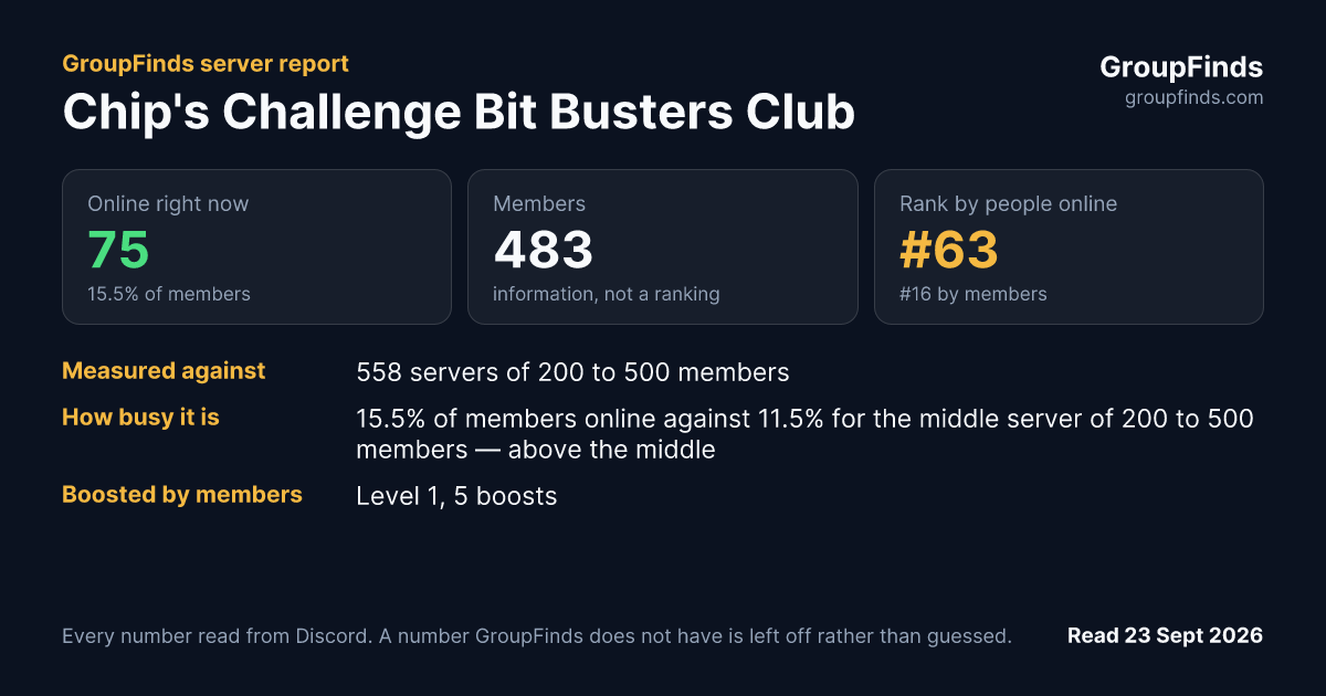 Chip's Challenge Bit Busters Club's GroupFinds server report