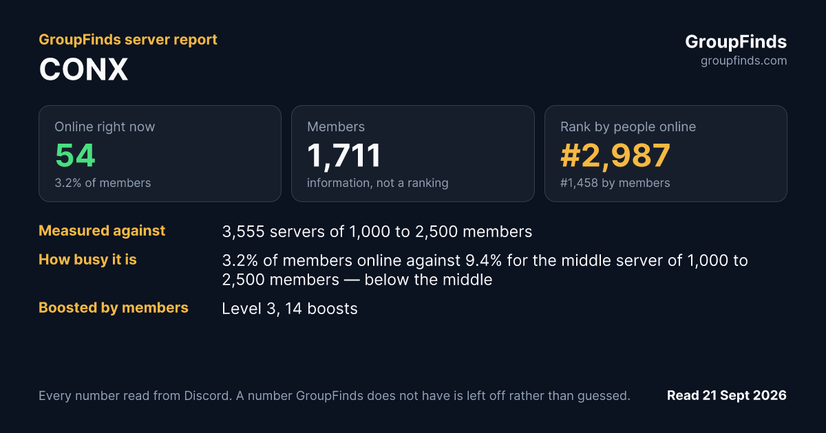CONX's GroupFinds server report