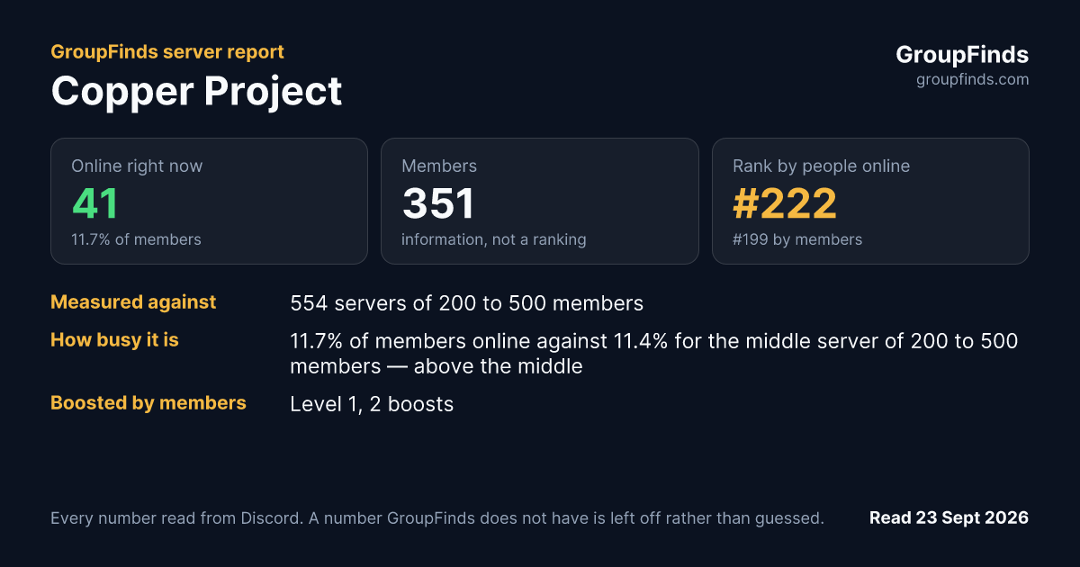 Copper Project's GroupFinds server report