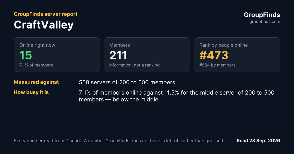 CraftValley's GroupFinds server report