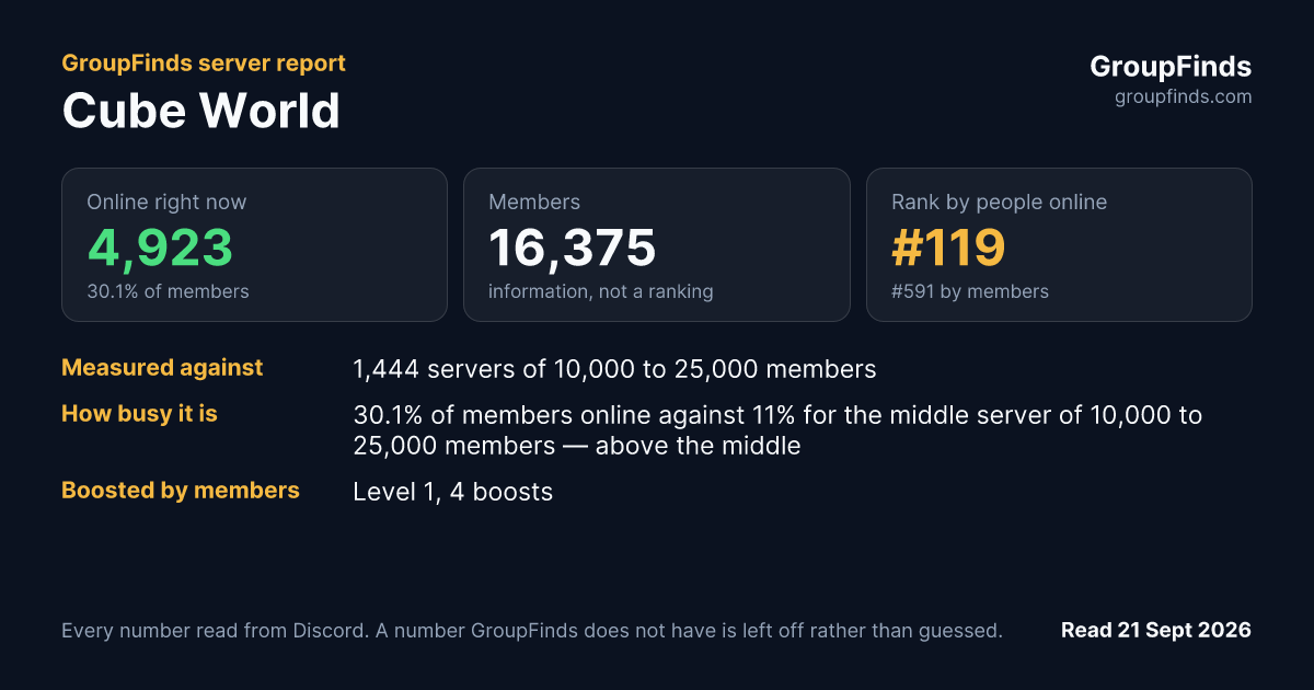 Cube World's GroupFinds server report