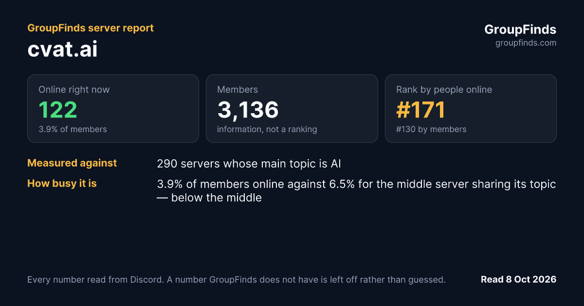cvat.ai's GroupFinds server report